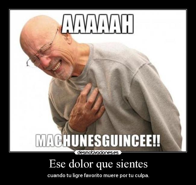 Ese dolor que sientes - cuando tu ligre favorito muere por tu culpa.