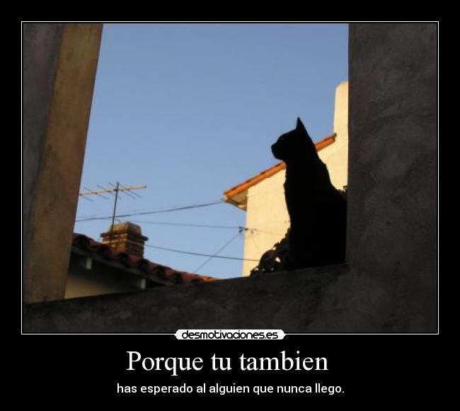 Porque tu tambien  - has esperado al alguien que nunca llego.