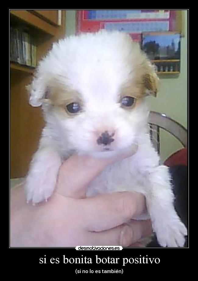 si es bonita botar positivo - (si no lo es también)