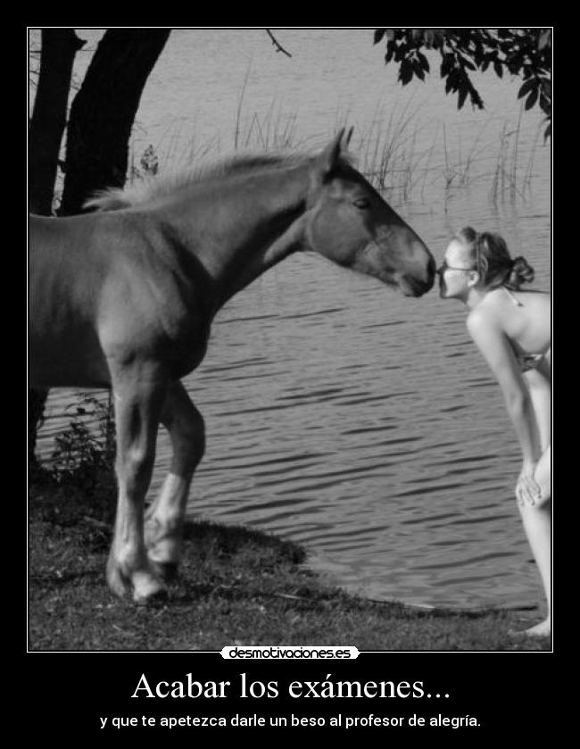 Acabar los exámenes... - y que te apetezca darle un beso al profesor de alegría.