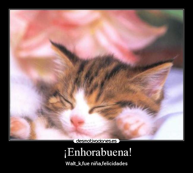 ¡Enhorabuena! - 