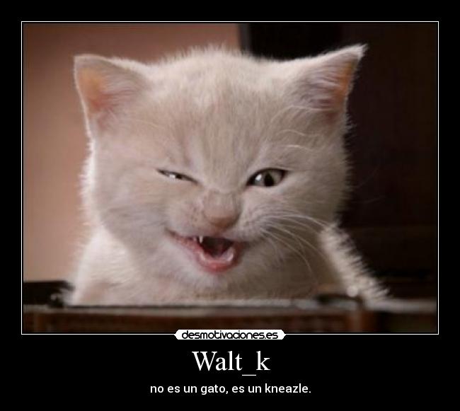 Walt_k - no es un gato, es un kneazle.