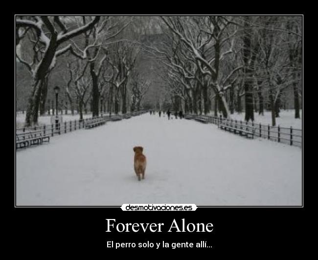 Forever Alone - El perro solo y la gente allí...