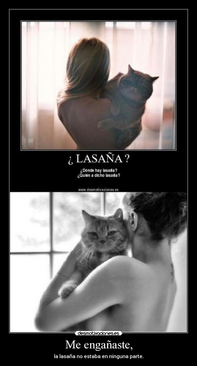 Me engañaste, - la lasaña no estaba en ninguna parte.