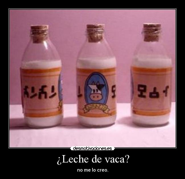 ¿Leche de vaca? - no me lo creo.