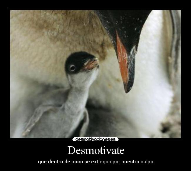 Desmotivate - 