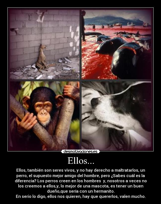 Ellos... - Ellos, también son seres vivos, y no hay derecho a maltratarlos, un
perro, el supuesto mejor amigo del hombre, pero ¿Sabes cuál es la
diferencia? Los perros creen en los hombres  y, nosotros a veces no
los creemos a ellos,y, lo mejor de una mascota, es tener un buen
dueño,que sería con un hermanito.
En serio lo digo, ellos nos quieren, hay que quererlos, valen mucho.