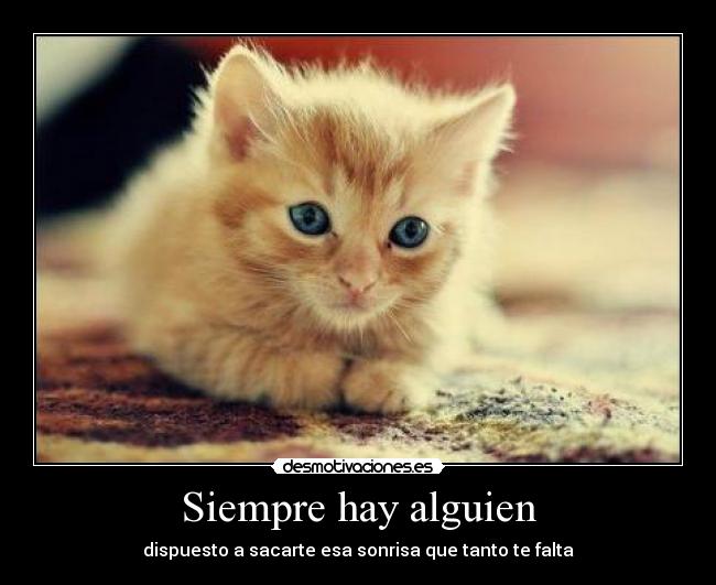 Siempre hay alguien - 