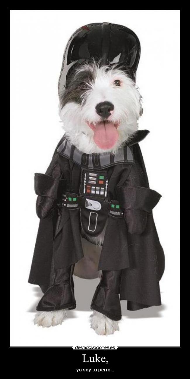 Luke, - yo soy tu perro...