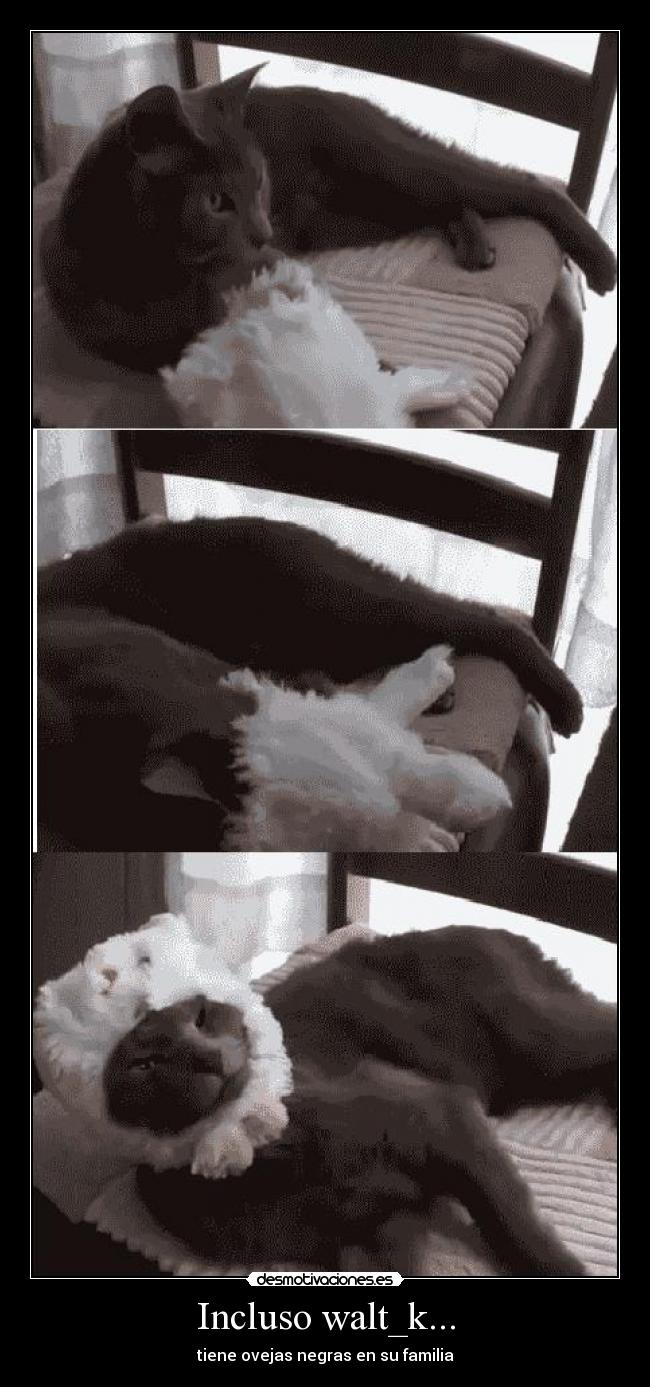 Incluso walt_k... - tiene ovejas negras en su familia