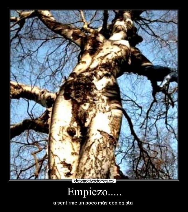 Empiezo..... - a sentirme un poco más ecologista