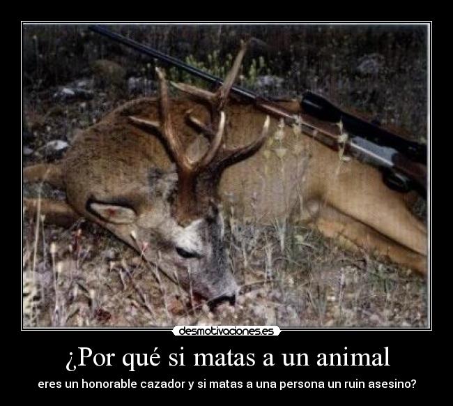 ¿Por qué si matas a un animal - 