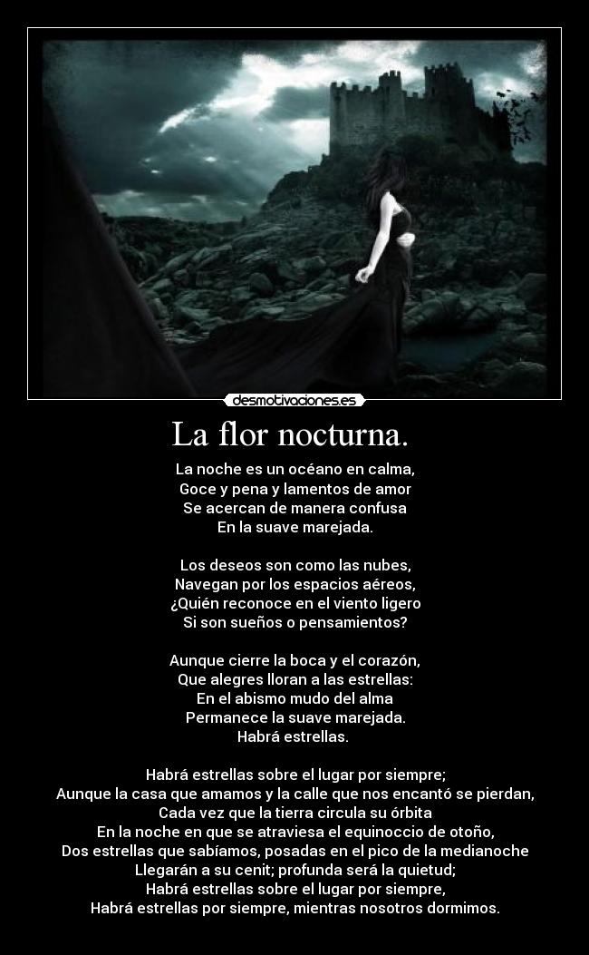 carteles flor nocturna habra estrellas desmotivaciones