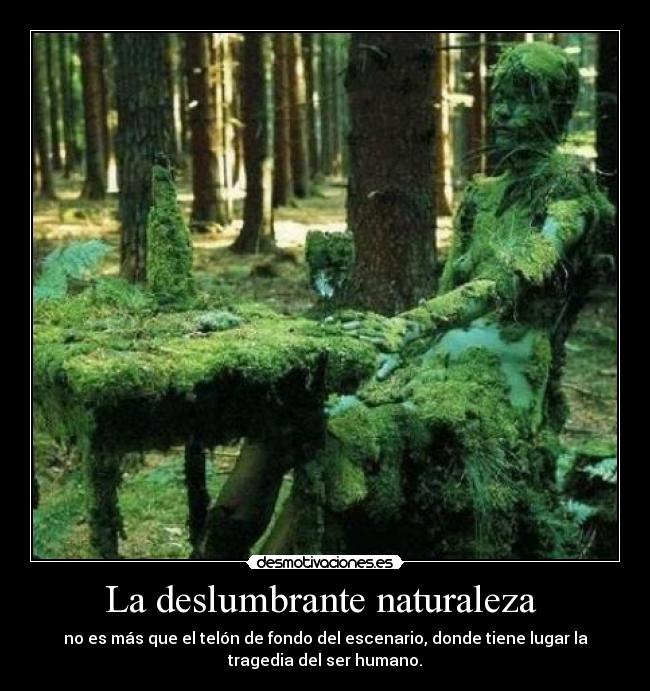 La deslumbrante naturaleza -