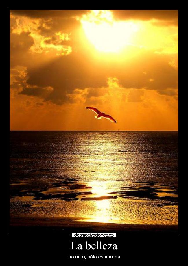 La belleza - no mira, sólo es mirada