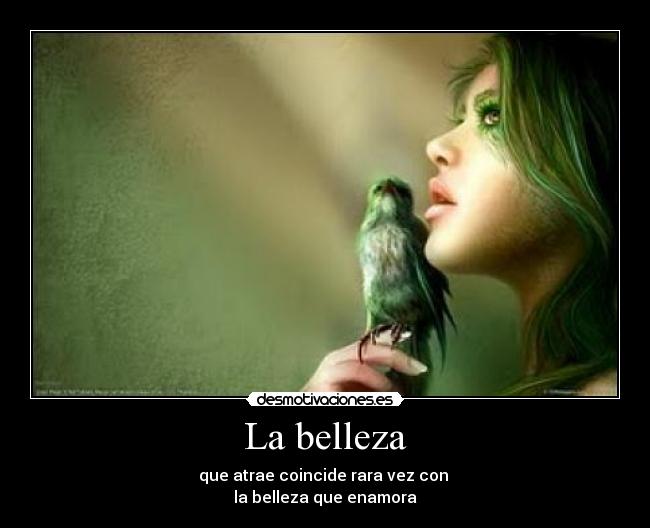 carteles crazyfurbi belleza enamora atrae desmotivaciones