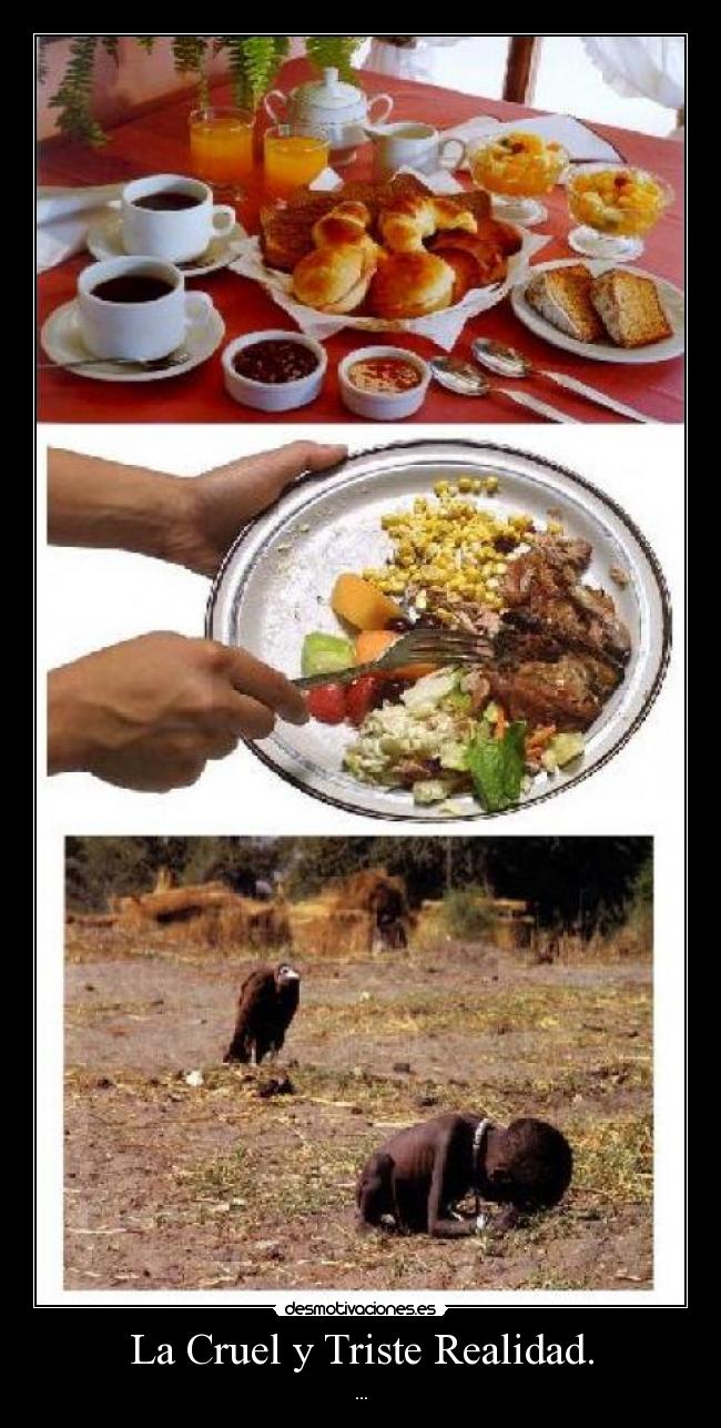 La Cruel y Triste Realidad. - ...