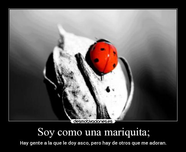 Soy como una mariquita; - 