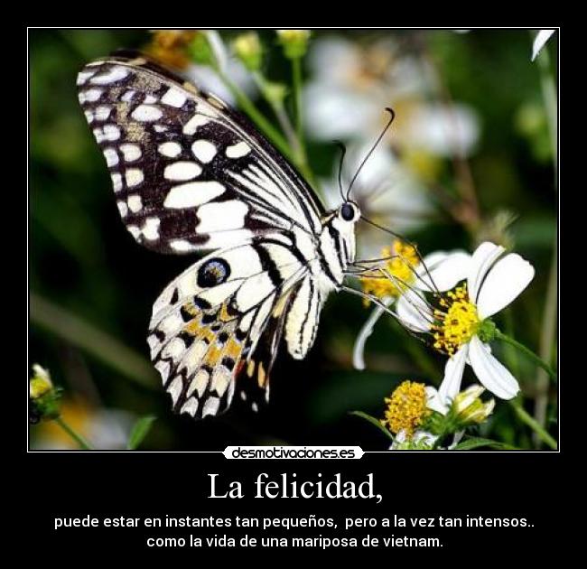 La felicidad, -