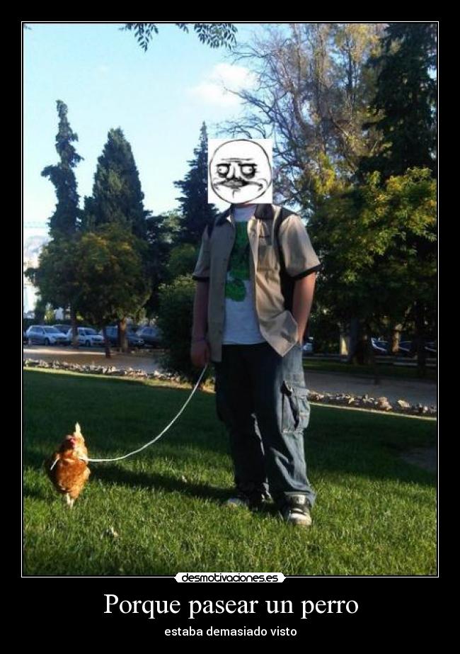 Porque pasear un perro -