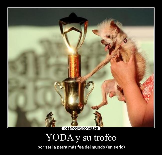 YODA y su trofeo -