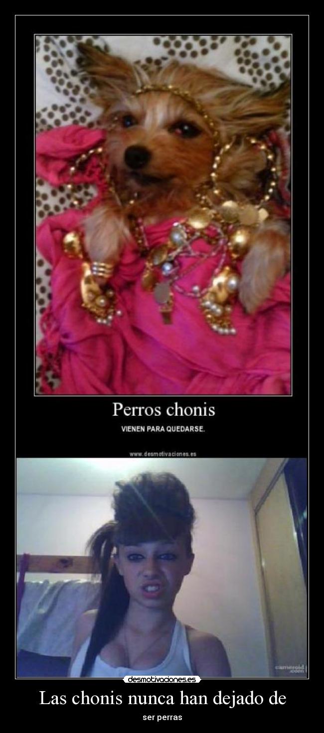 Las chonis nunca han dejado de - ser perras