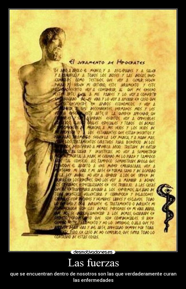 Las fuerzas - que se encuentran dentro de nosotros son las que verdaderamente curan
las enfermedades