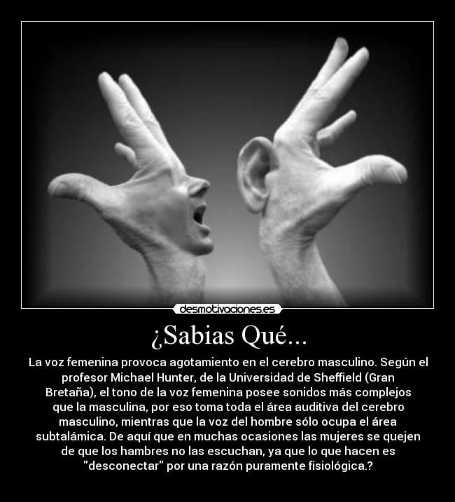 ¿Sabias Qué... - La voz femenina provoca agotamiento en el cerebro masculino. Según el
profesor Michael Hunter, de la Universidad de Sheffield (Gran
Bretaña), el tono de la voz femenina posee sonidos más complejos
que la masculina, por eso toma toda el área auditiva del cerebro
masculino, mientras que la voz del hombre sólo ocupa el área
subtalámica. De aquí que en muchas ocasiones las mujeres se quejen
de que los hambres no las escuchan, ya que lo que hacen es
desconectar por una razón puramente fisiológica.?
