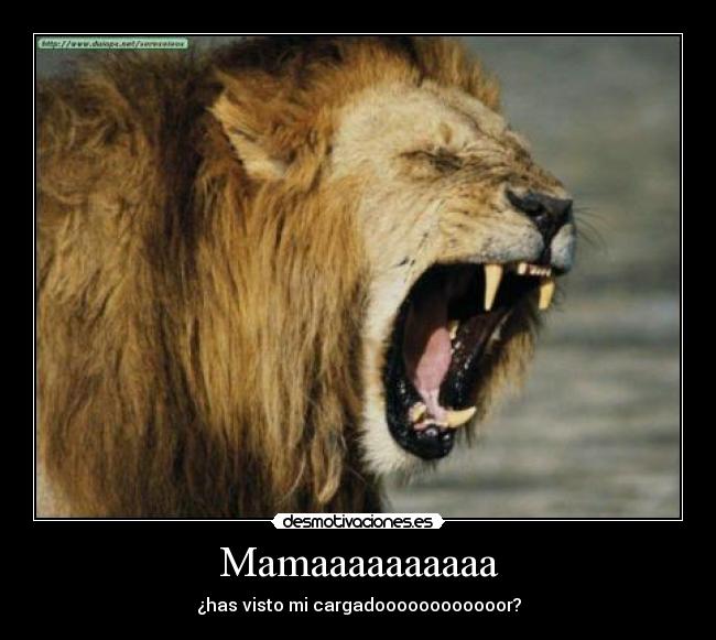 Mamaaaaaaaaaa - ¿has visto mi cargadoooooooooooor?
