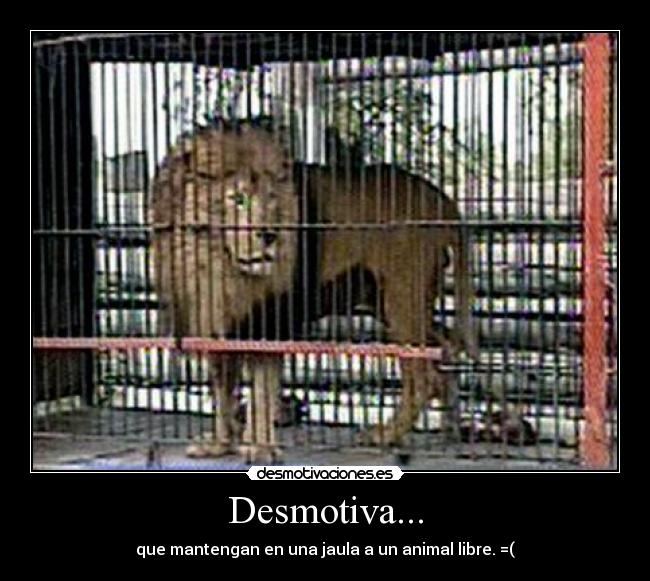 Desmotiva... -