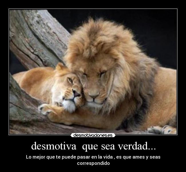 desmotiva que sea verdad... - Lo mejor que te puede pasar en la vida , es que ames y seas correspondido