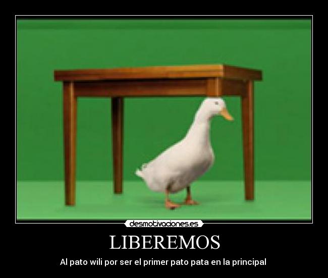 LIBEREMOS - 