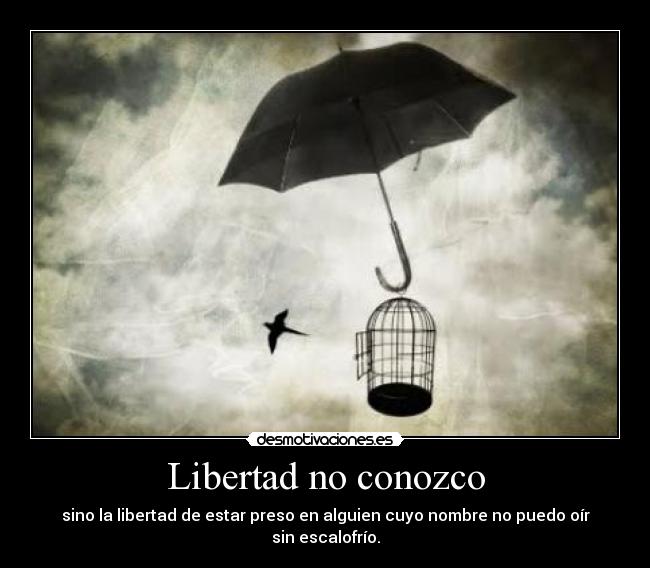 carteles libertad libertad preso escalofrio desmotivaciones