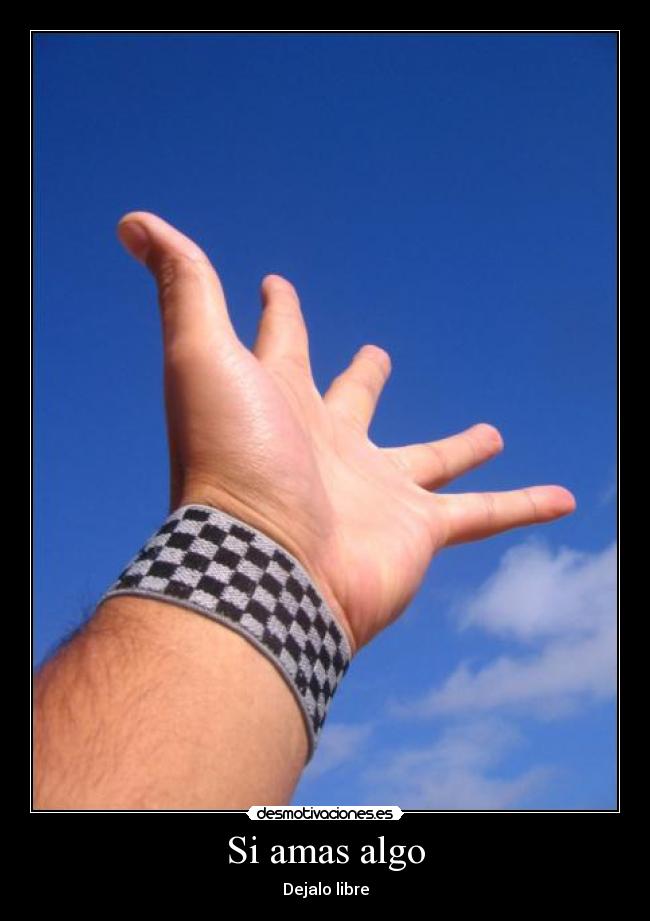Si amas algo - 