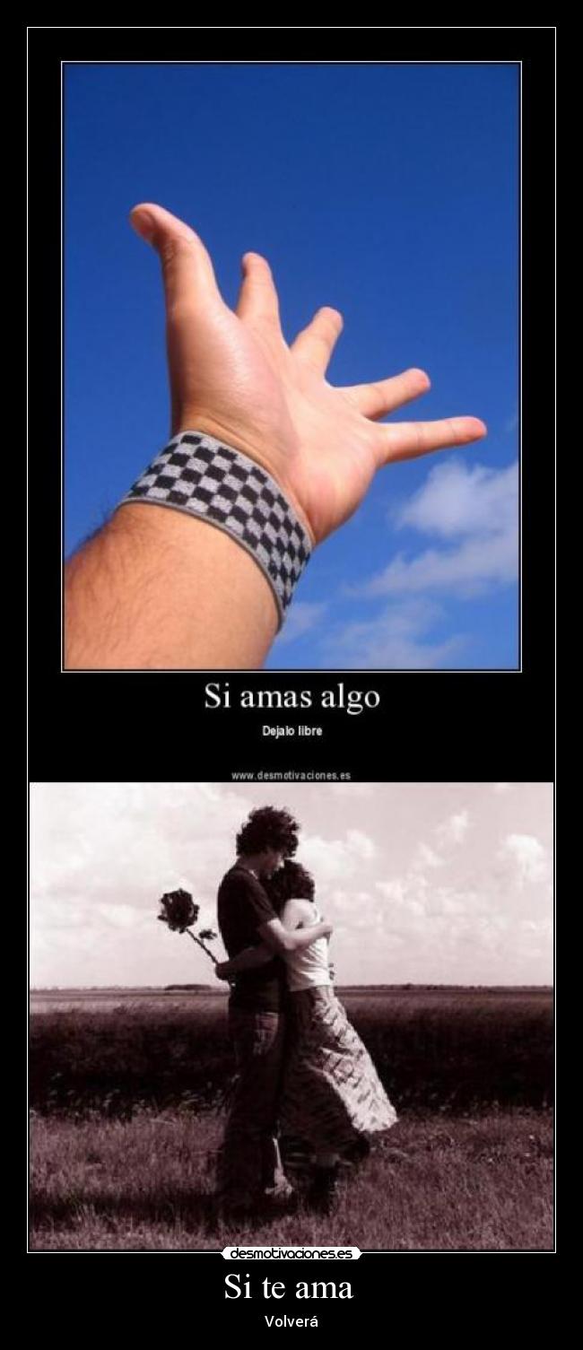 Si te ama  - Volverá