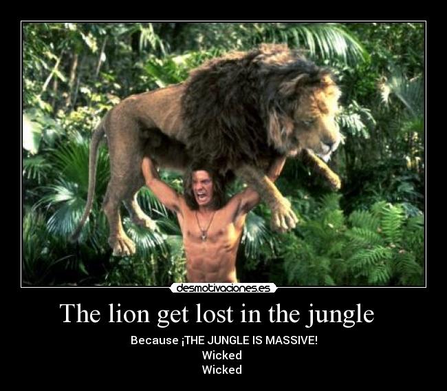 The lion get lost in the jungle -