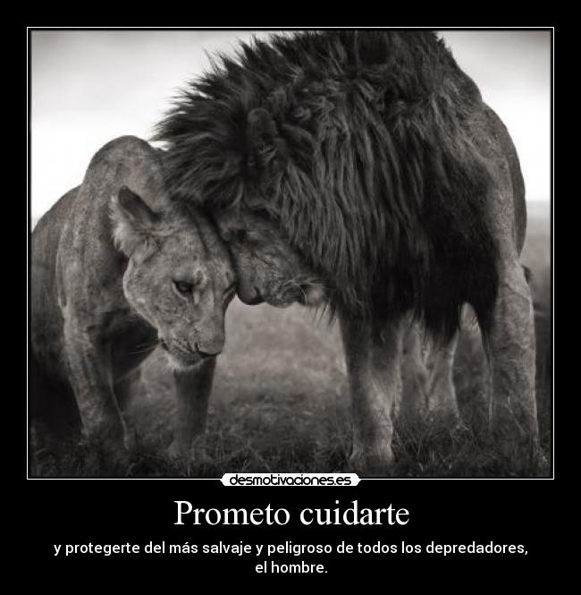 Prometo cuidarte -