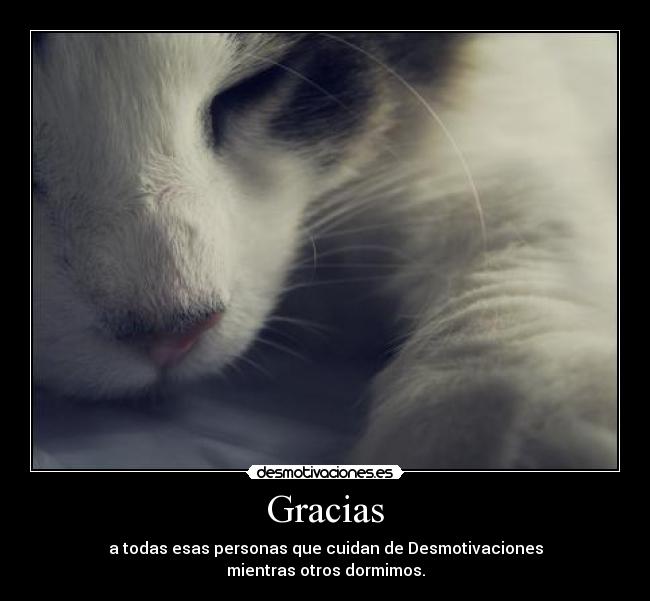carteles internacional dormir gracias cuidar gato desmotivaciones