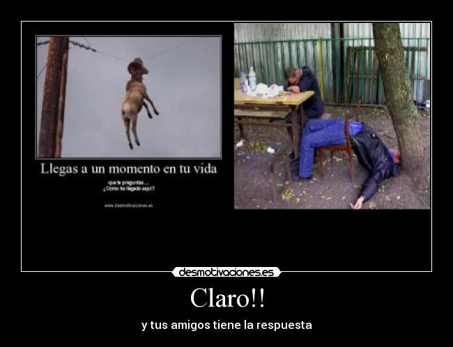 carteles calvo desmotivaciones