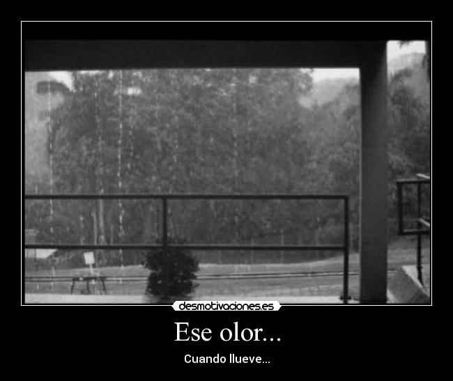 Ese olor... -