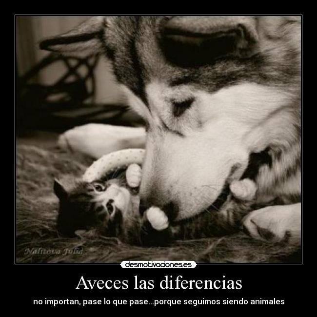 Aveces las diferencias -