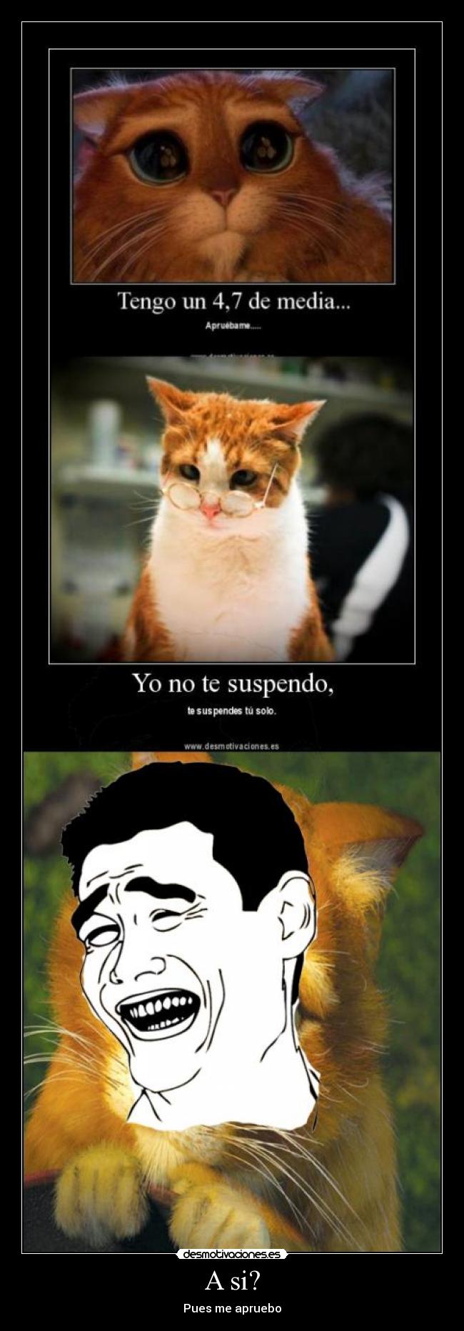 A si? - Pues me apruebo