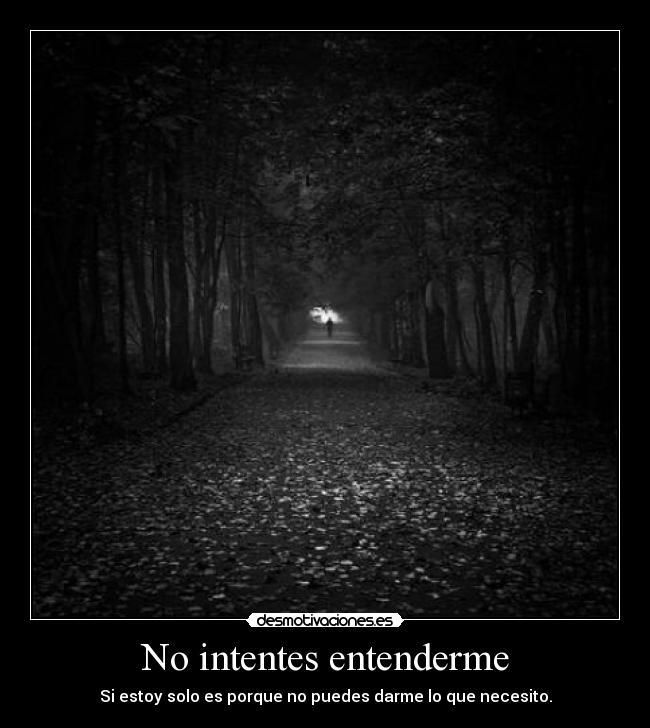 No intentes entenderme -