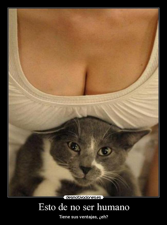 Esto de no ser humano -