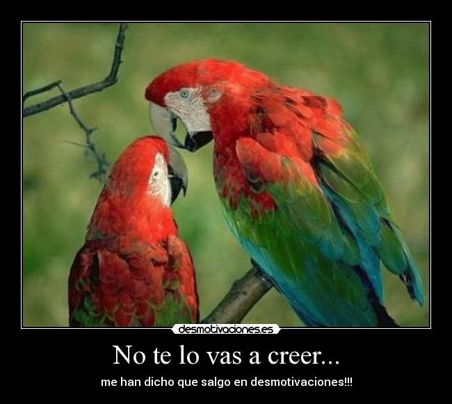 No te lo vas a creer... - 