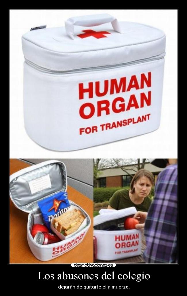 Los abusones del colegio - dejarán de quitarte el almuerzo.