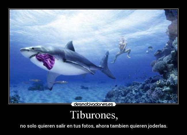 Tiburones, - 