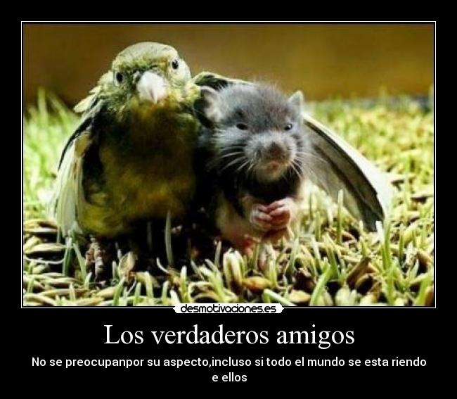Los verdaderos amigos -