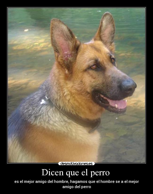 Dicen que el perro  - 