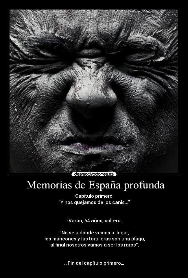 carteles espana caniscaca desmotivaciones